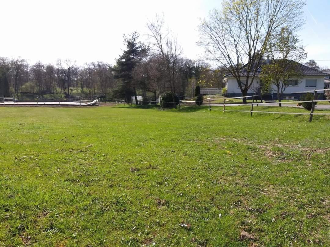 Repos Rouge-Plaisir Au Milieu Des Chevaux Apartment Kembs Exterior photo